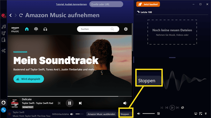 Der Aufnahme eines Songs stoppen