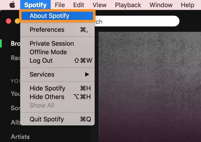 Über Spotify auf Ihr Mac